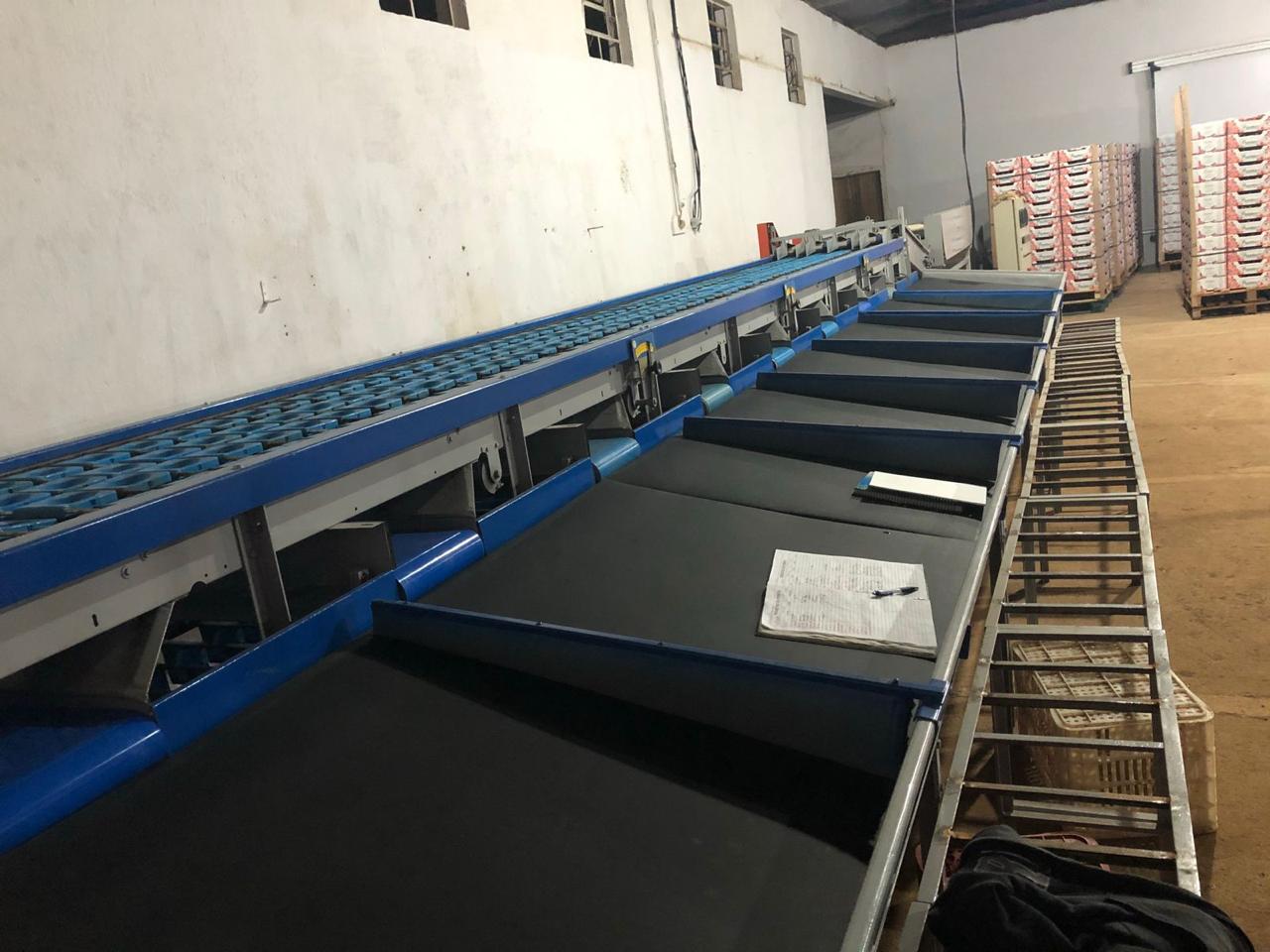 Classificadora de frutas Fazenda Museros