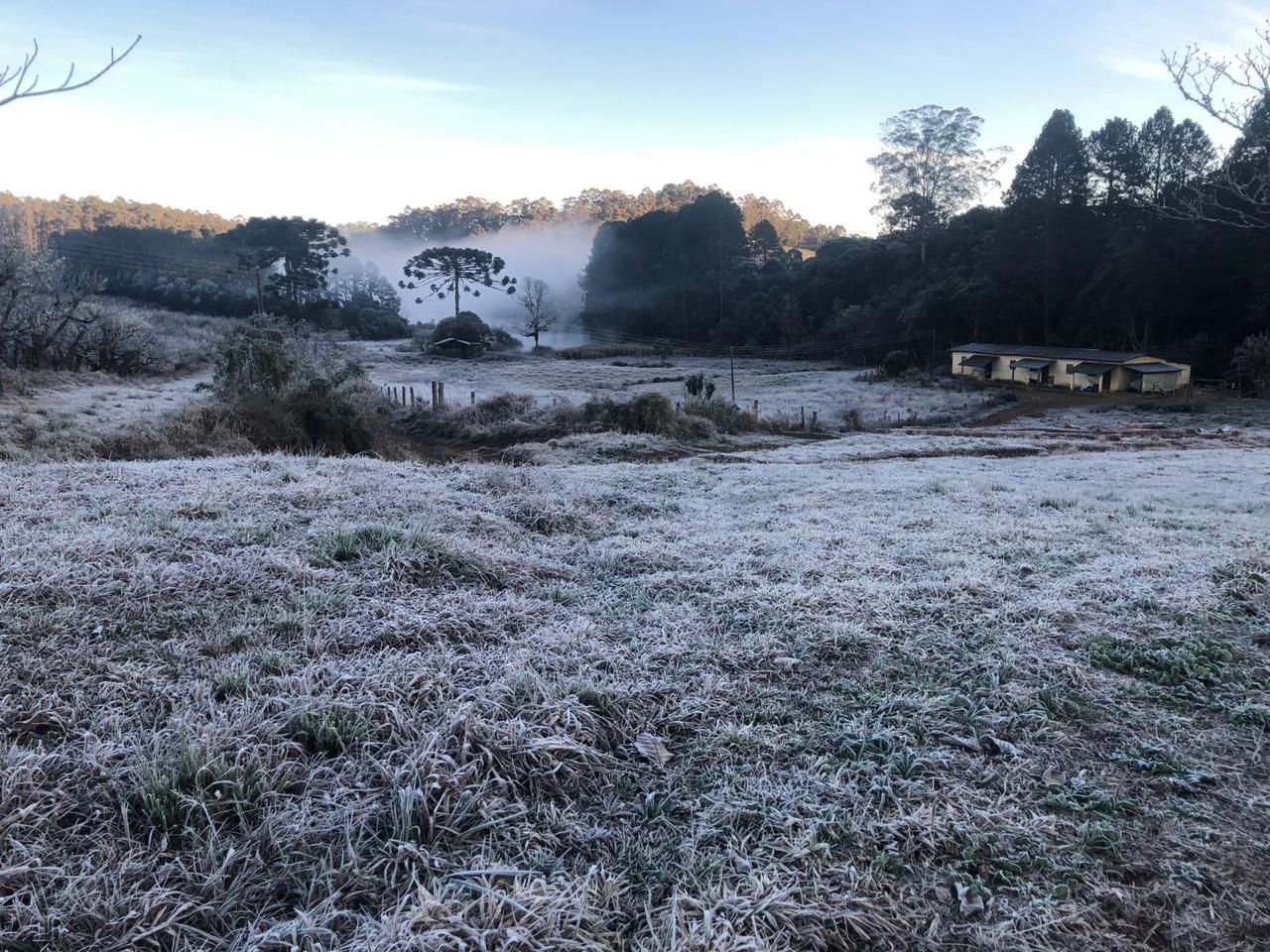 Vista panorâmica da Fazenda Museros em manhã de geada