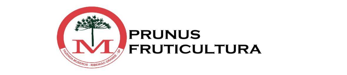 Prunus Fruticultura