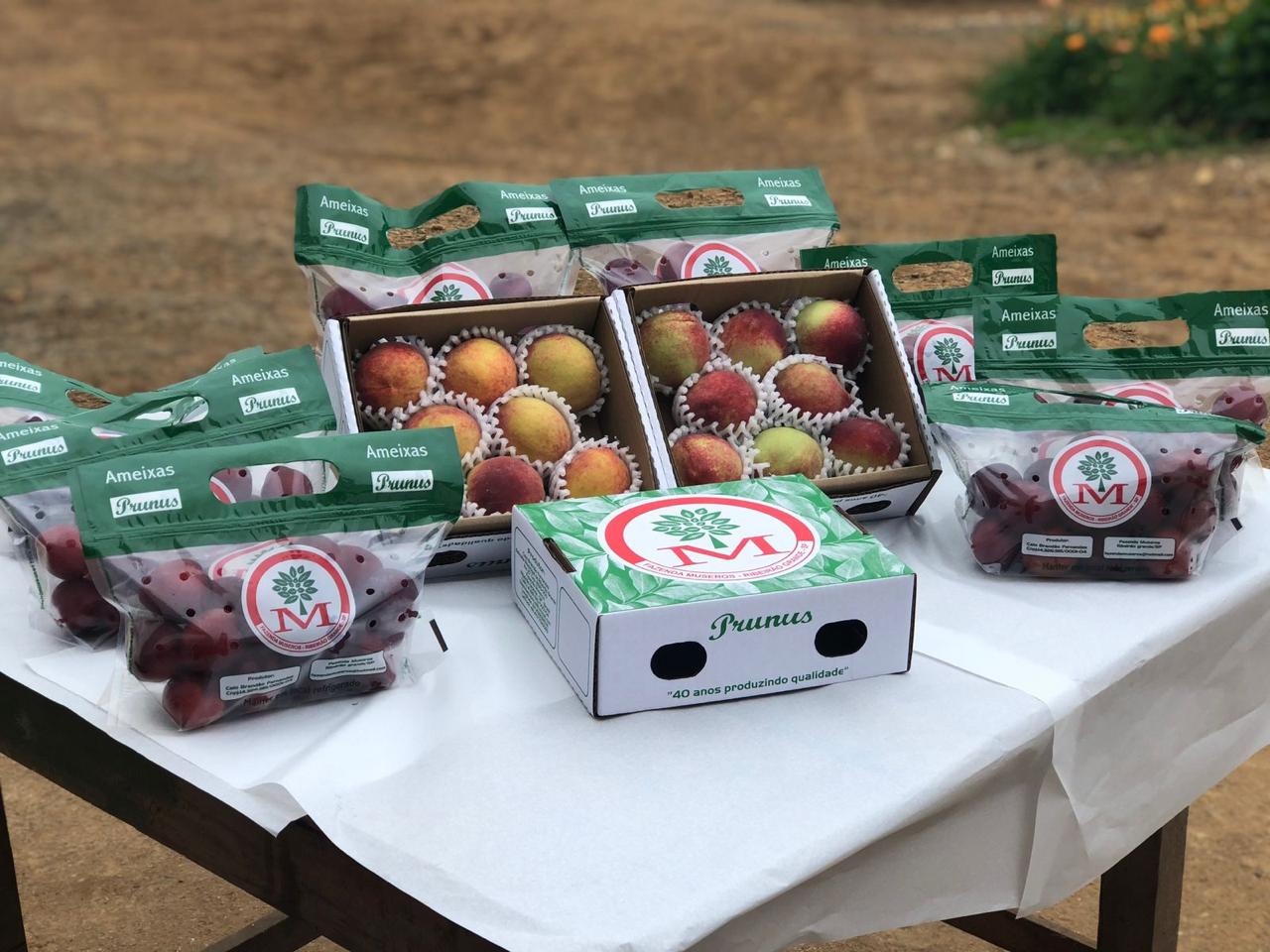 Linha premium Prunus Fruticultura